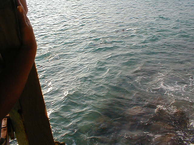 P7070056
