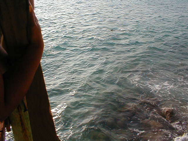 P7070057