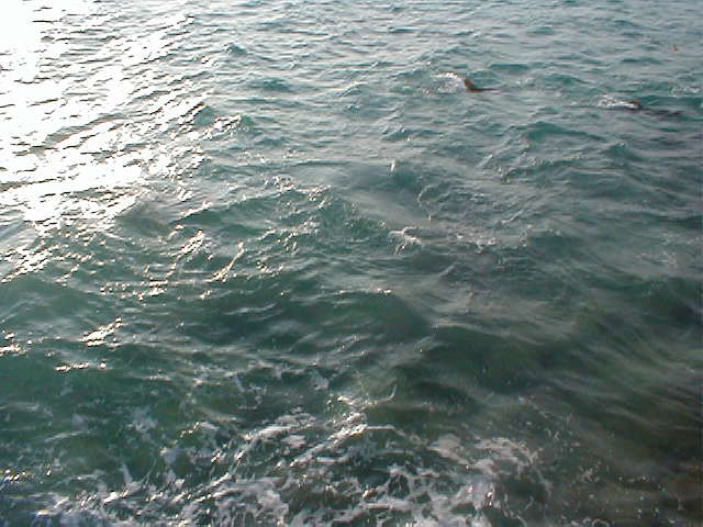 P7070060