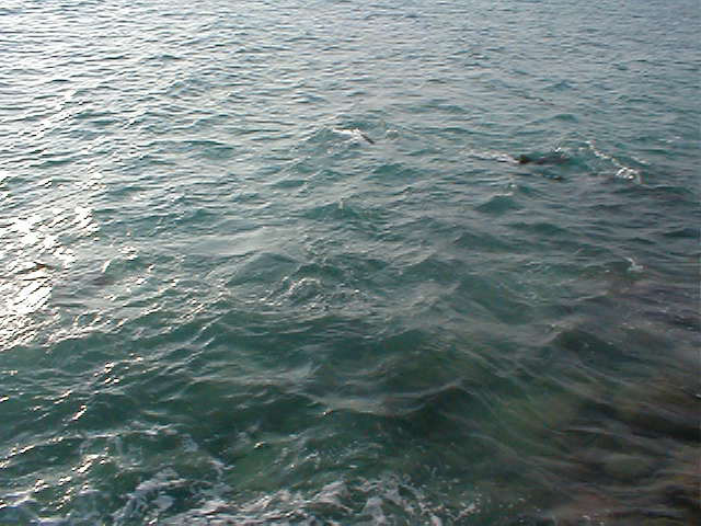 P7070061