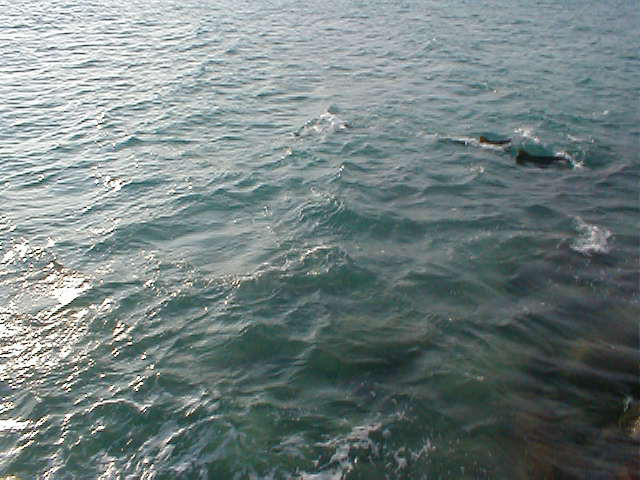 P7070062