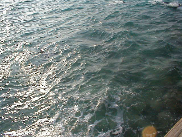 P7070063
