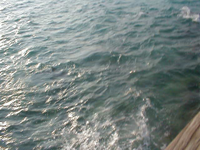P7070064