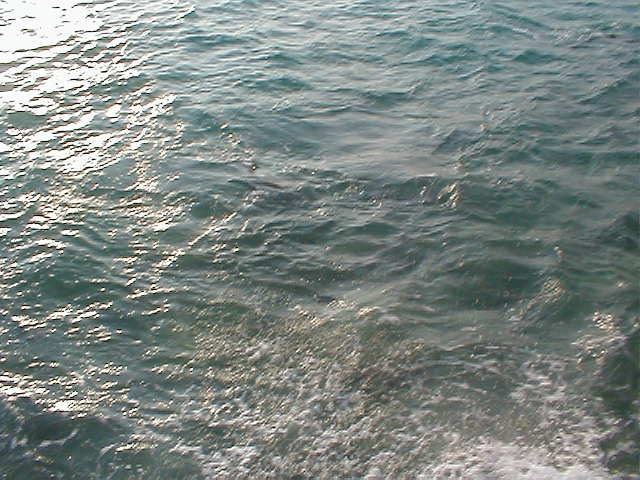 P7070065