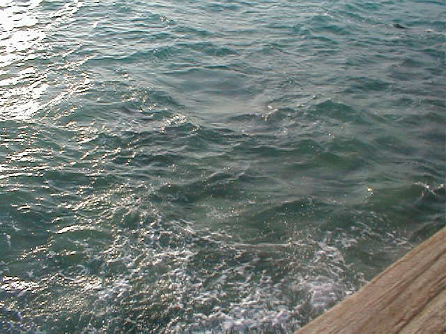 P7070066