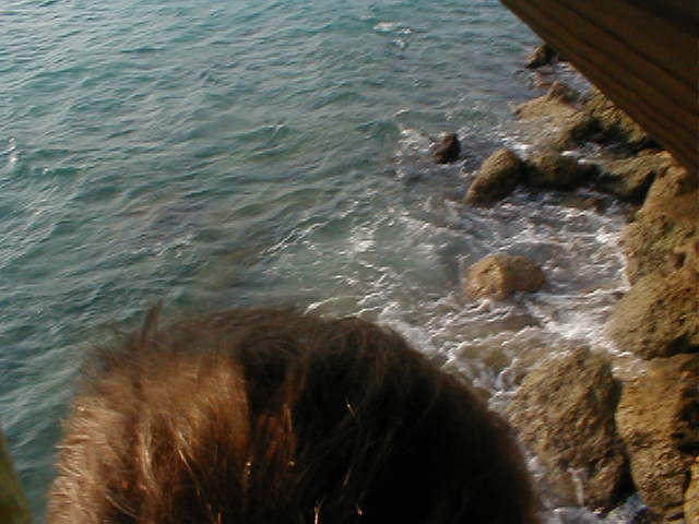 P7070077