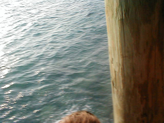 P7070088