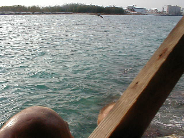 P7070090