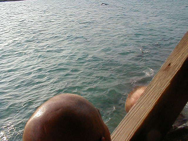 P7070091