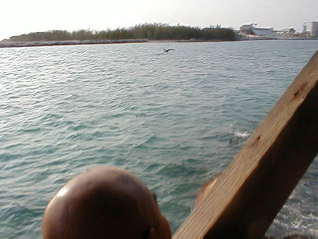 P7070092