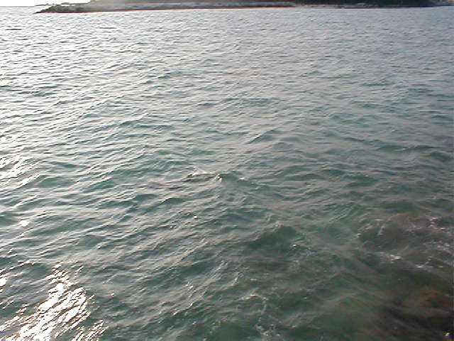 P7070094