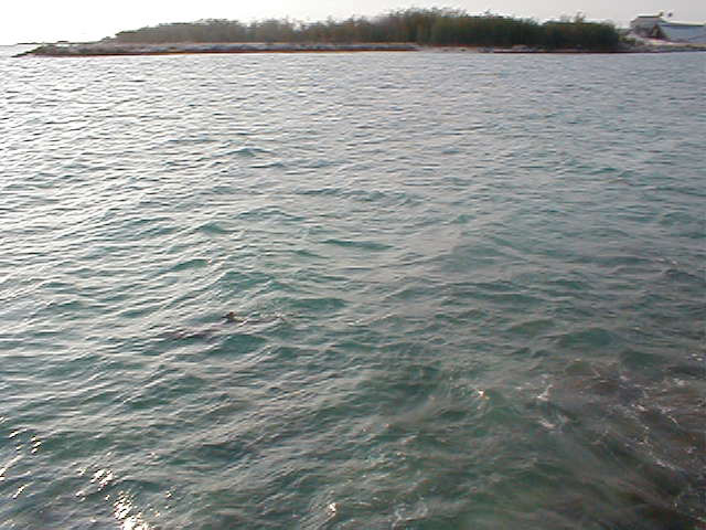 P7070095