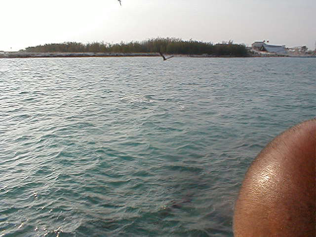 P7070097