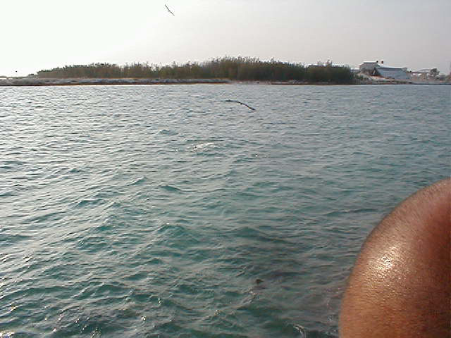 P7070098
