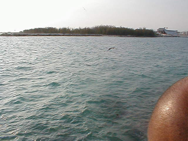 P7070099