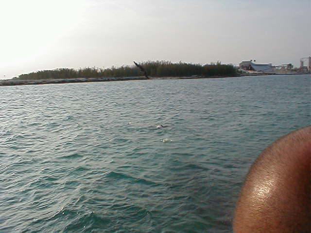 P7070100