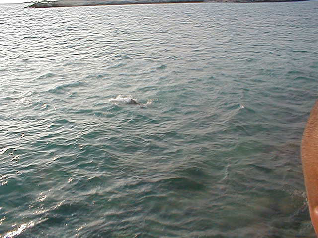 P7070108