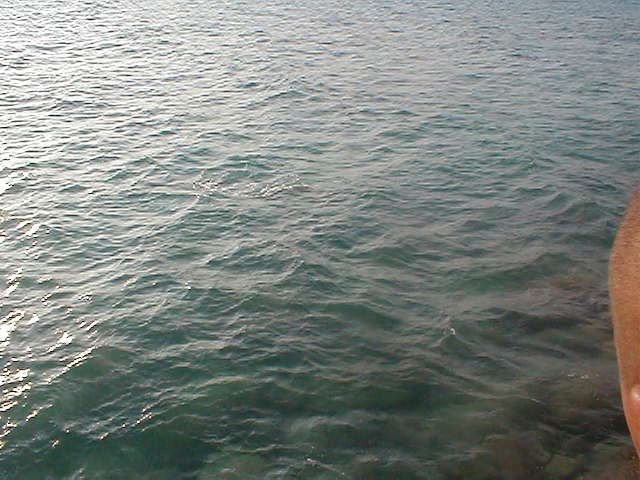 P7070110