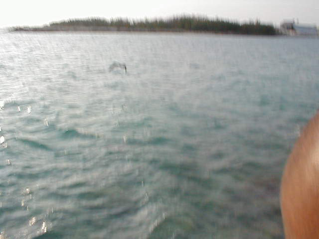 P7070121