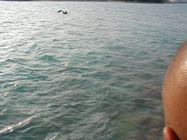 P7070122