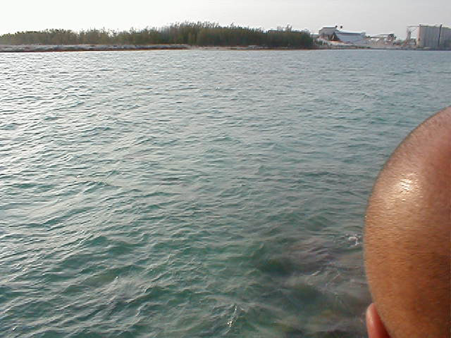 P7070124