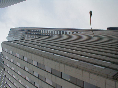 P8260006