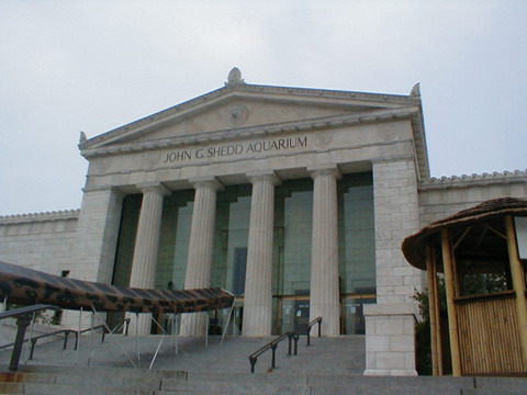 P8260056