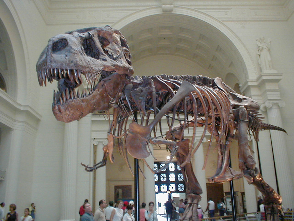 P8260058