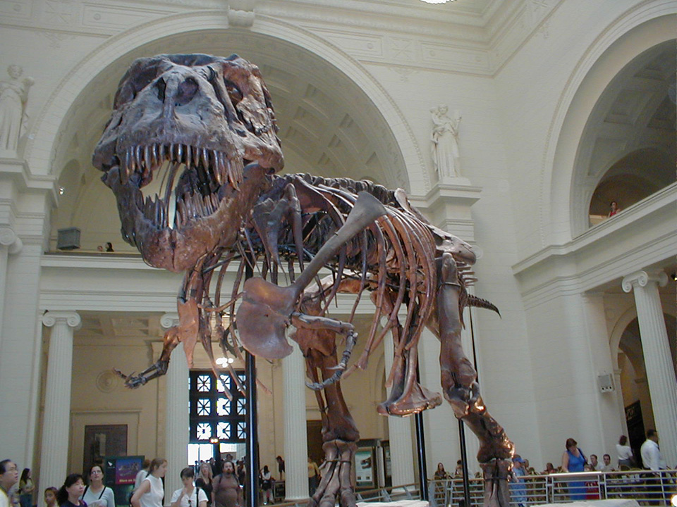 P8260062