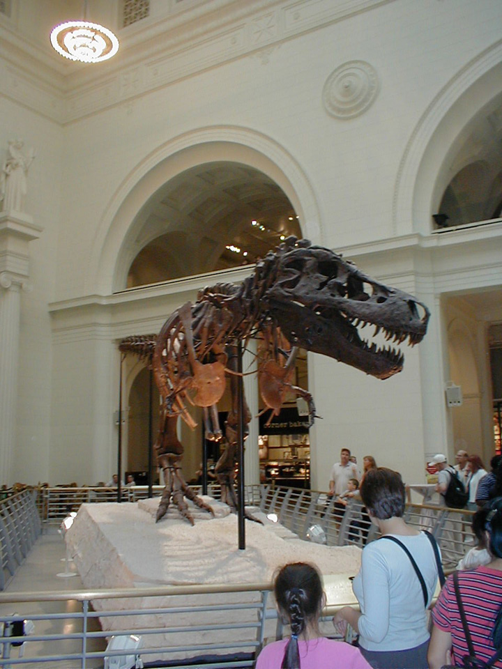 P8260064