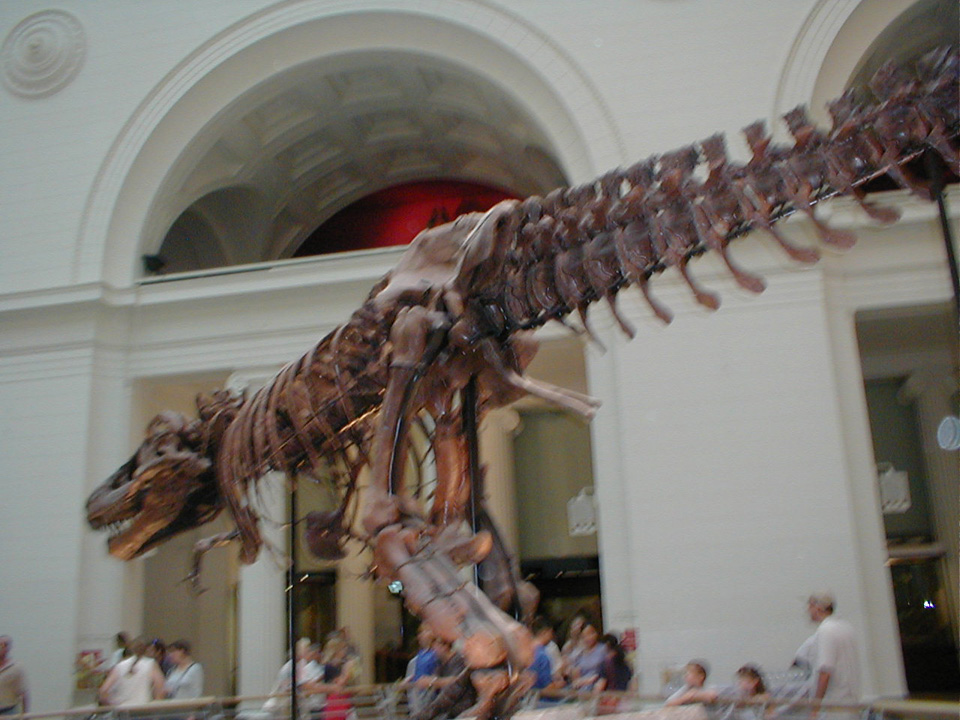 P8260070
