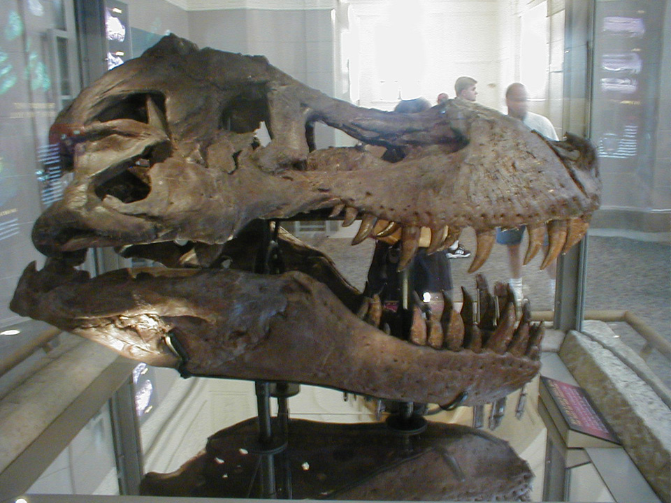 P8260072