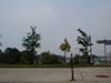 P8260045