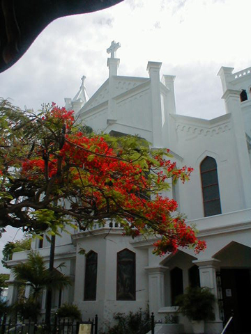 P6210031