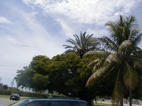 P6210037