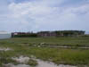 P6210039