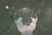 739422-R1-028-12A