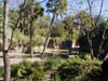 PB140037
