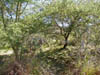PB140051