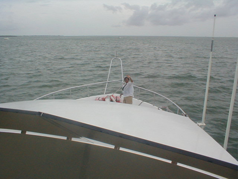 P6070039