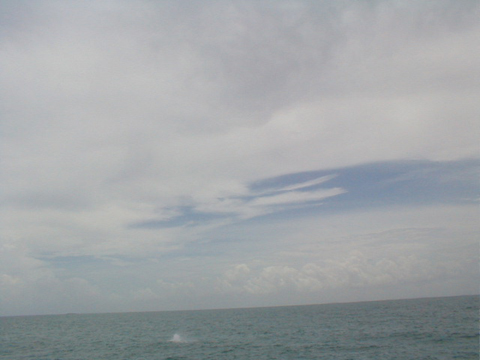 P6070099