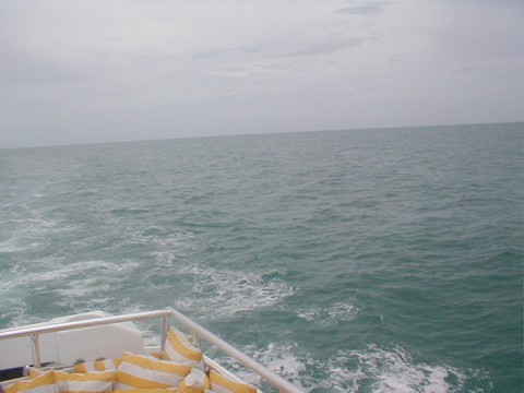 P6070101
