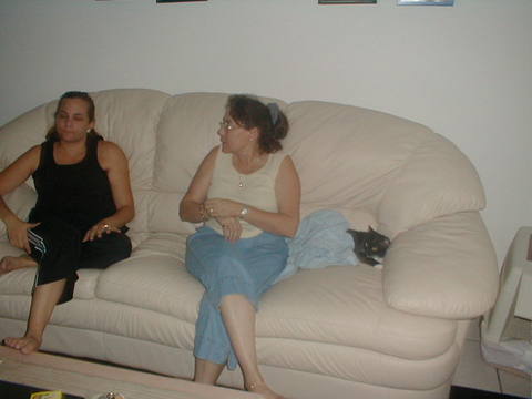 P9040089