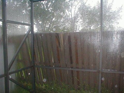 P9050093