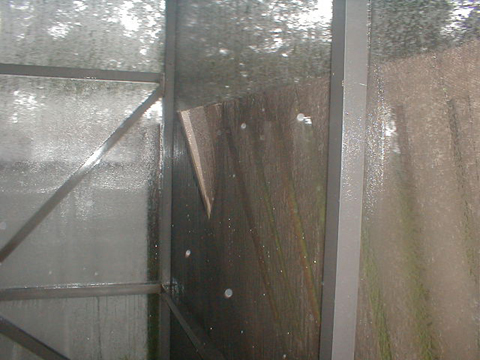 P9050094