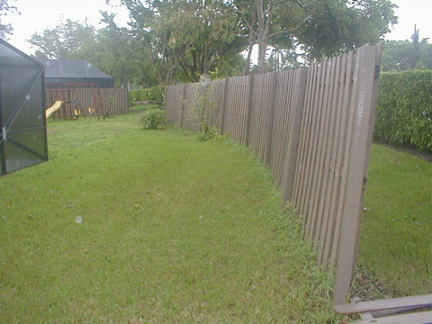 P9050096