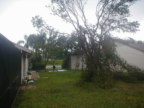 P9050097