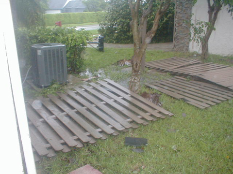 P9050100