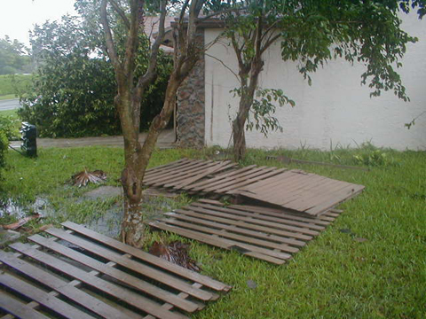 P9050101