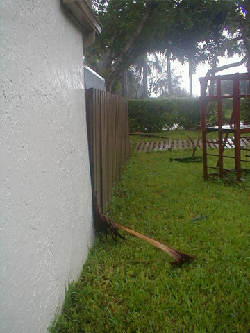 P9050103